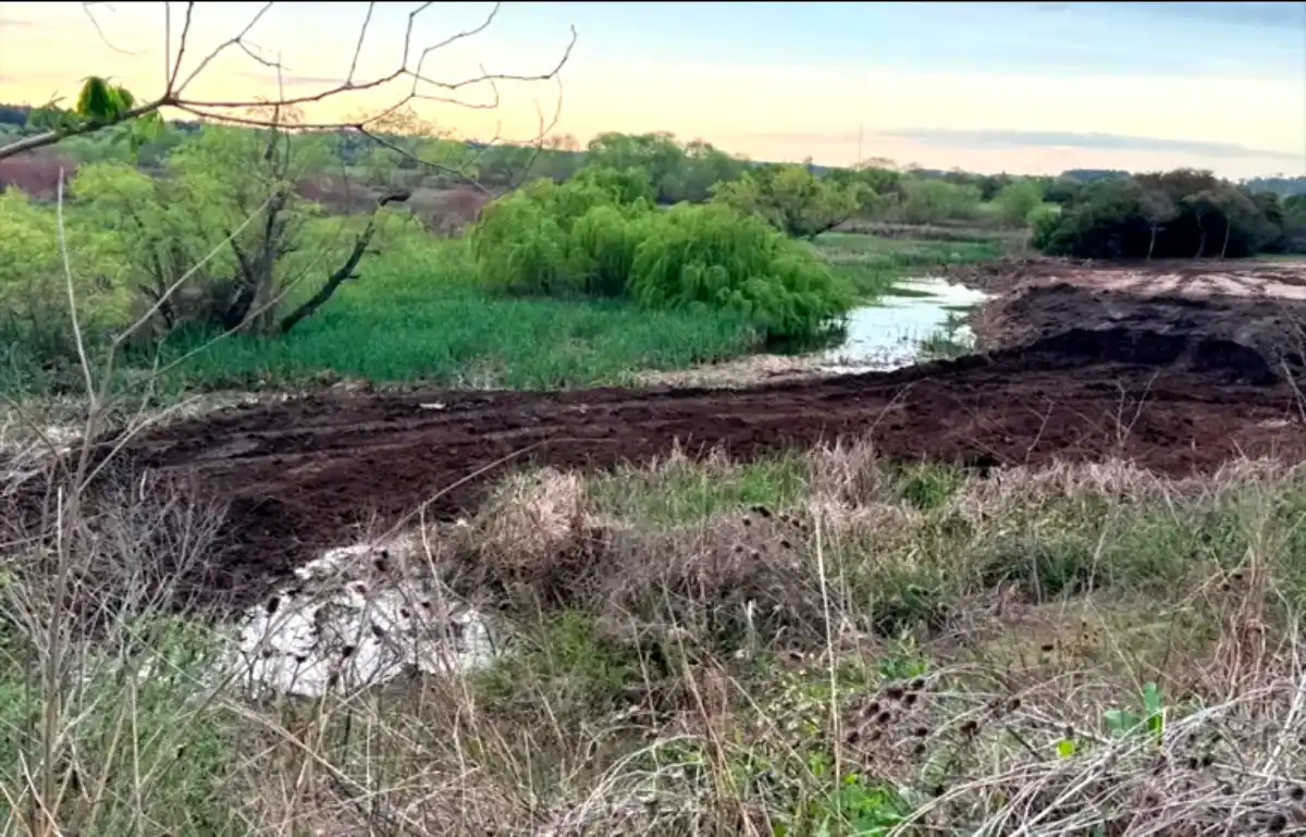 Amparo ambiental ordenan frenar desmontes y recomponer un área protegida en Colón - Diario El Enfoque