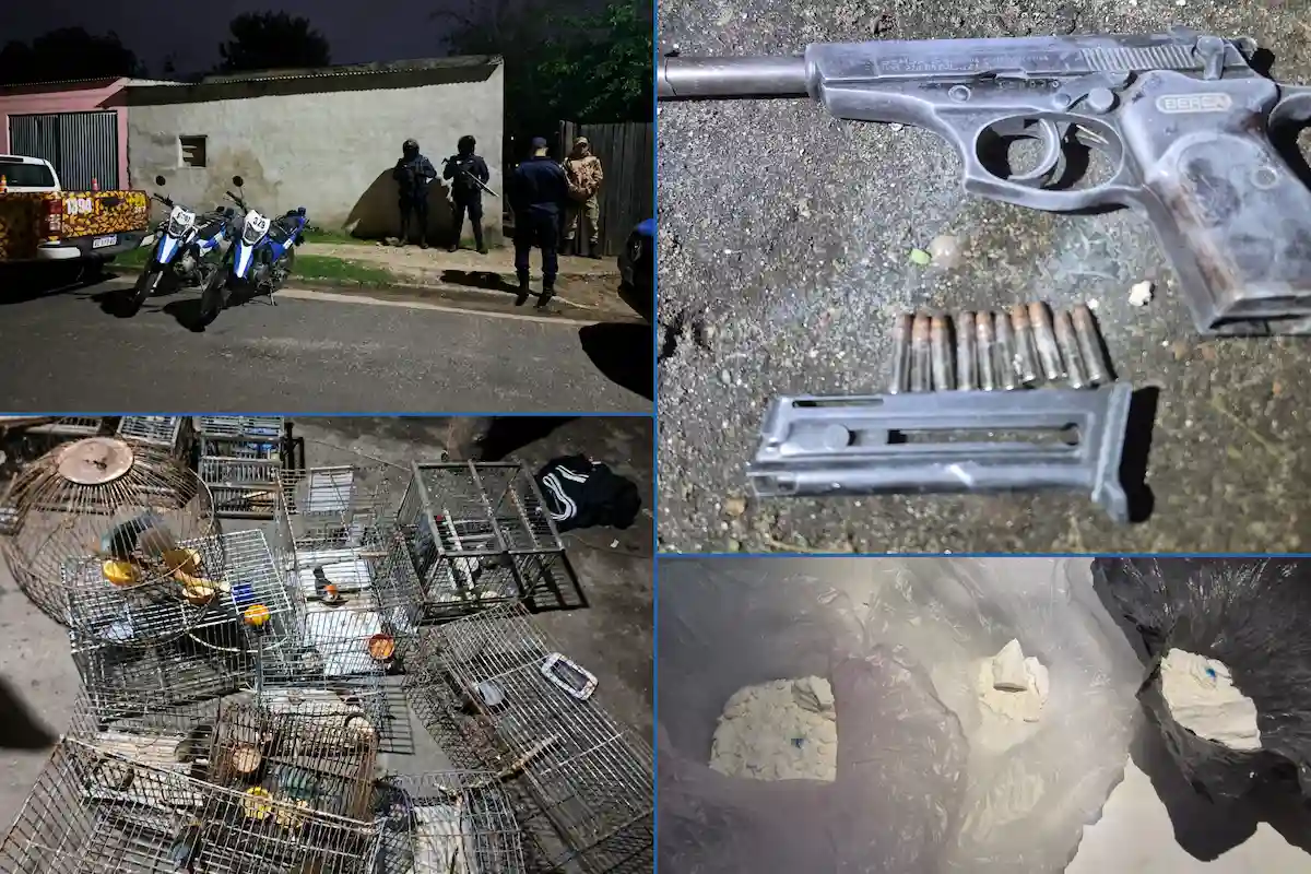 secuestro drogas-aves silvestres