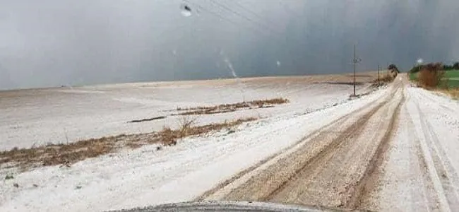 nevo en entre rios