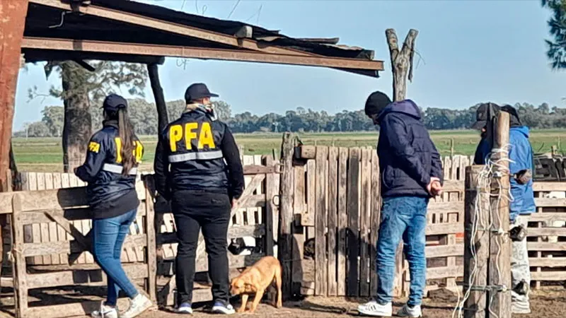 PFA 1