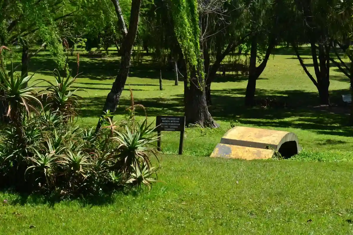 vivero municipal - diario el enfoque concordia