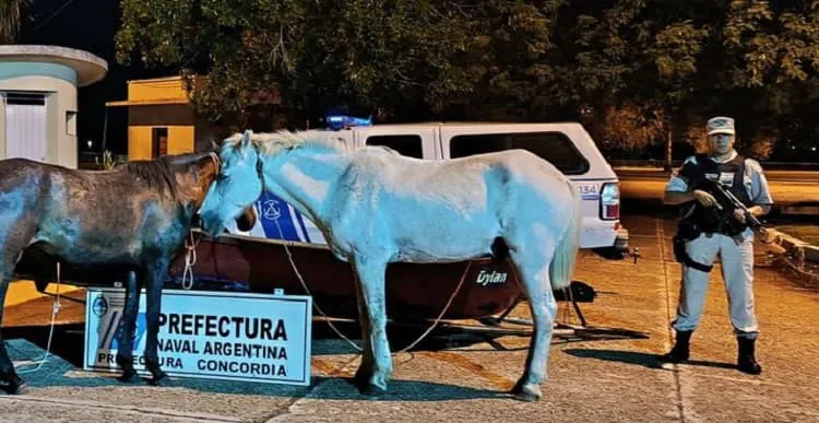 secuestro caballos (1)