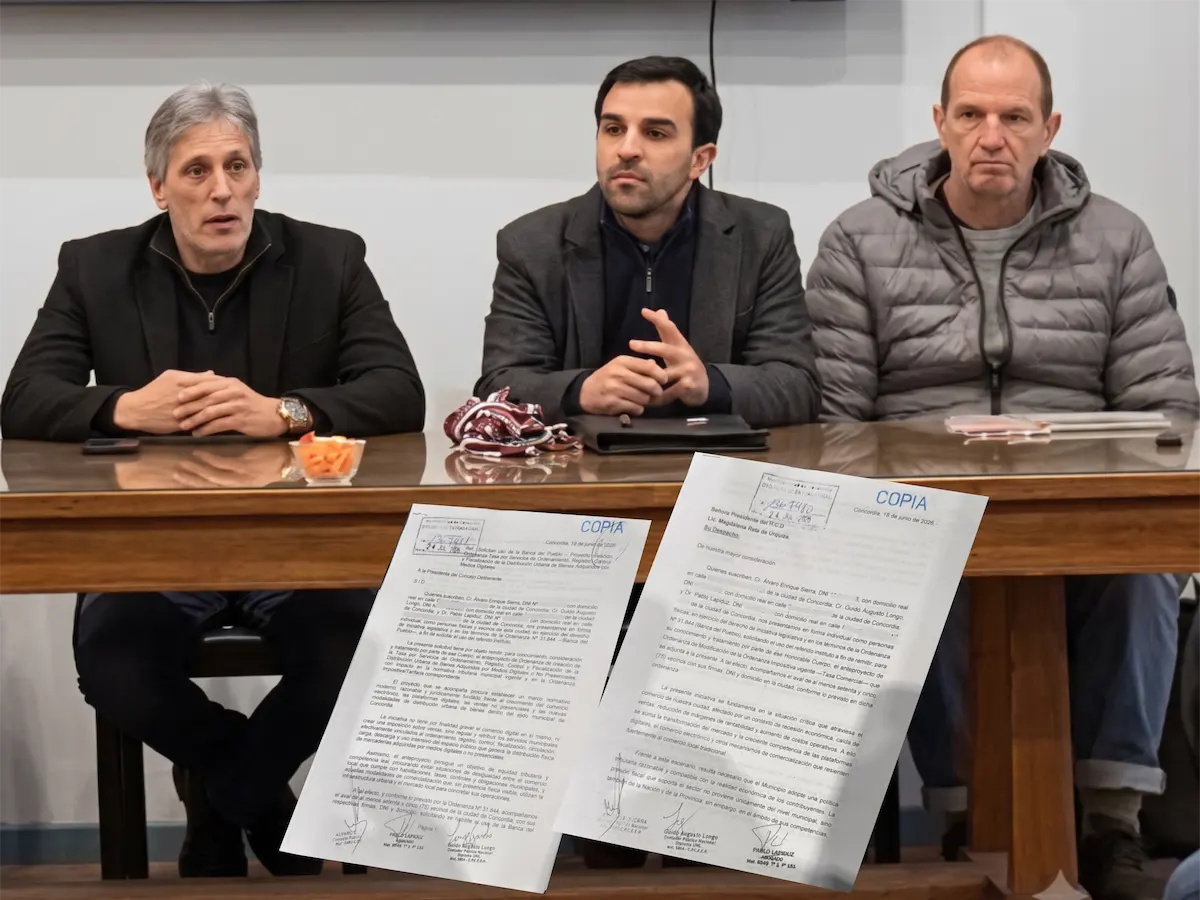 Presentan proyectos para reducir la Tasa Comercial y regular las plataformas digitales - Concordia - Diario El Enfoque