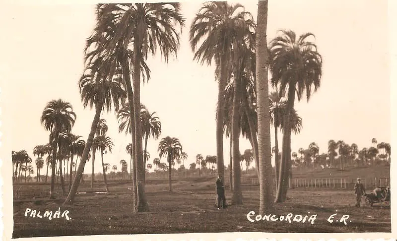 FotoPostal_Palmar_Concordia_1948 (1)