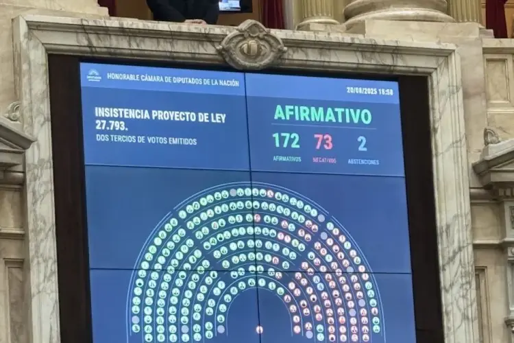 ley emergencia en discapacidad