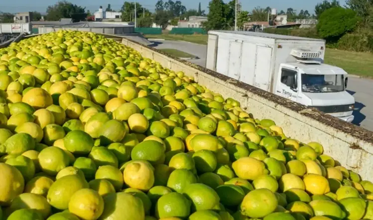 limones
