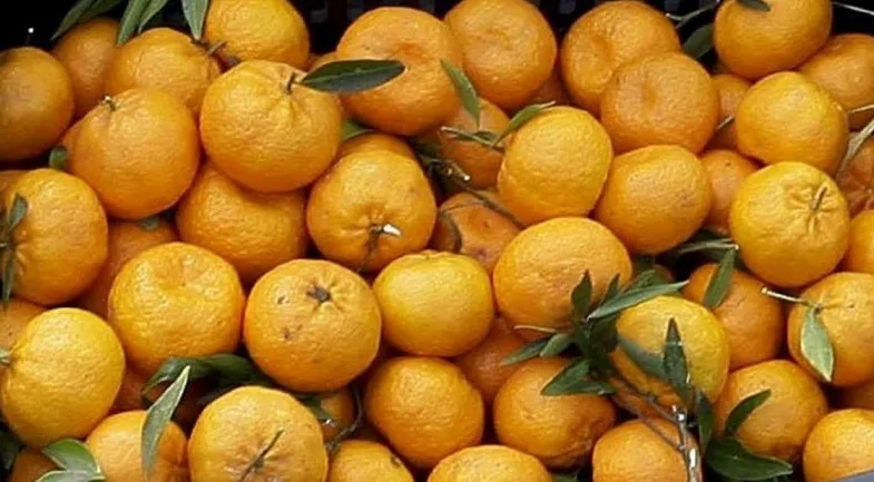 mandarinas_1