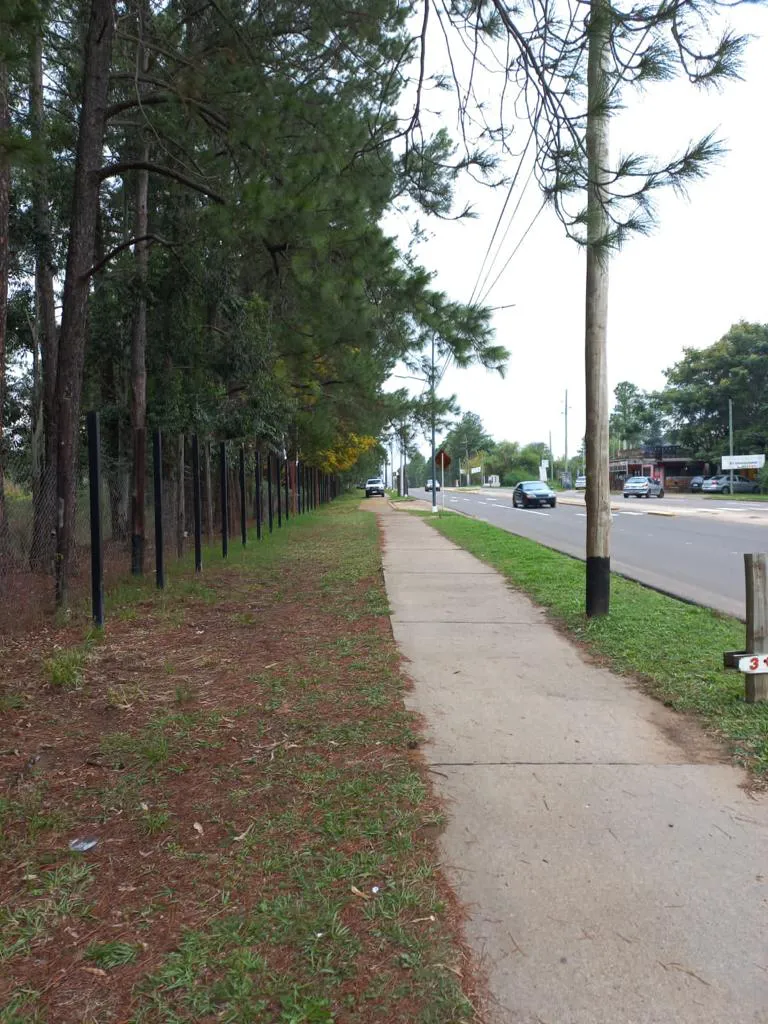 LIMPIEZA DE LA CIUDAD (3)