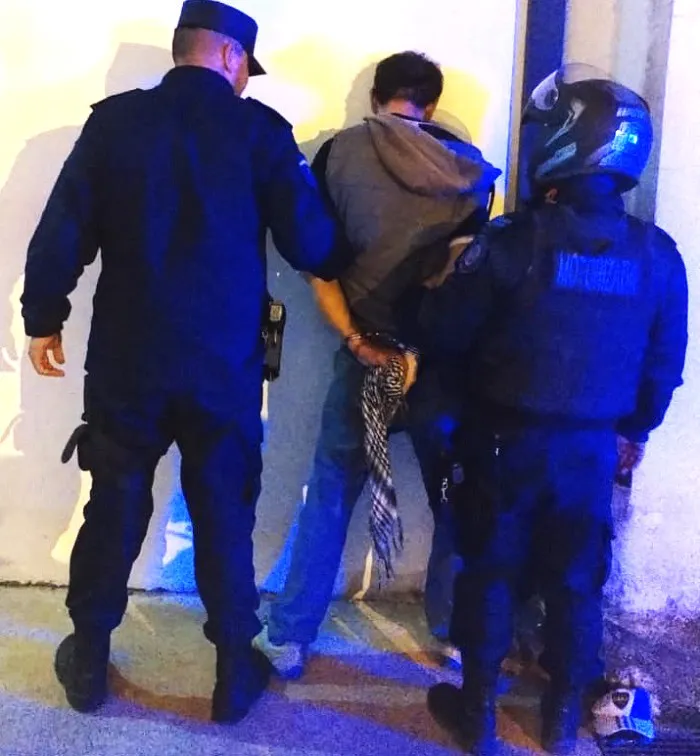 daño en flagrancia (2) (1)