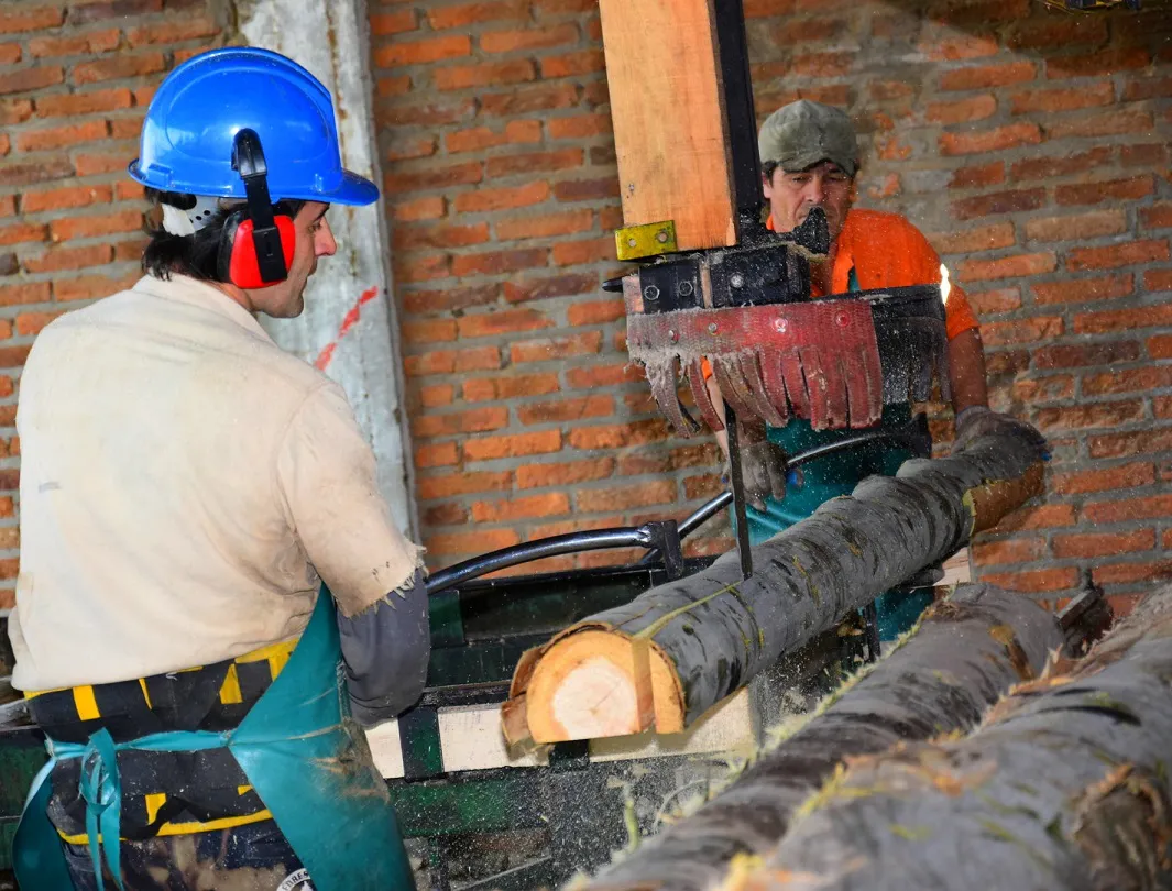 MADERA - CONCORDIA (2)