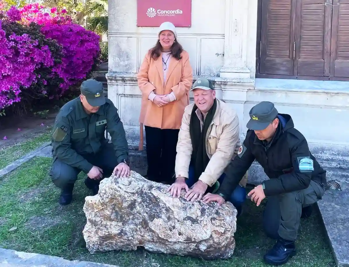 fósil museo de antropología - diario el enfoque concordia (1)