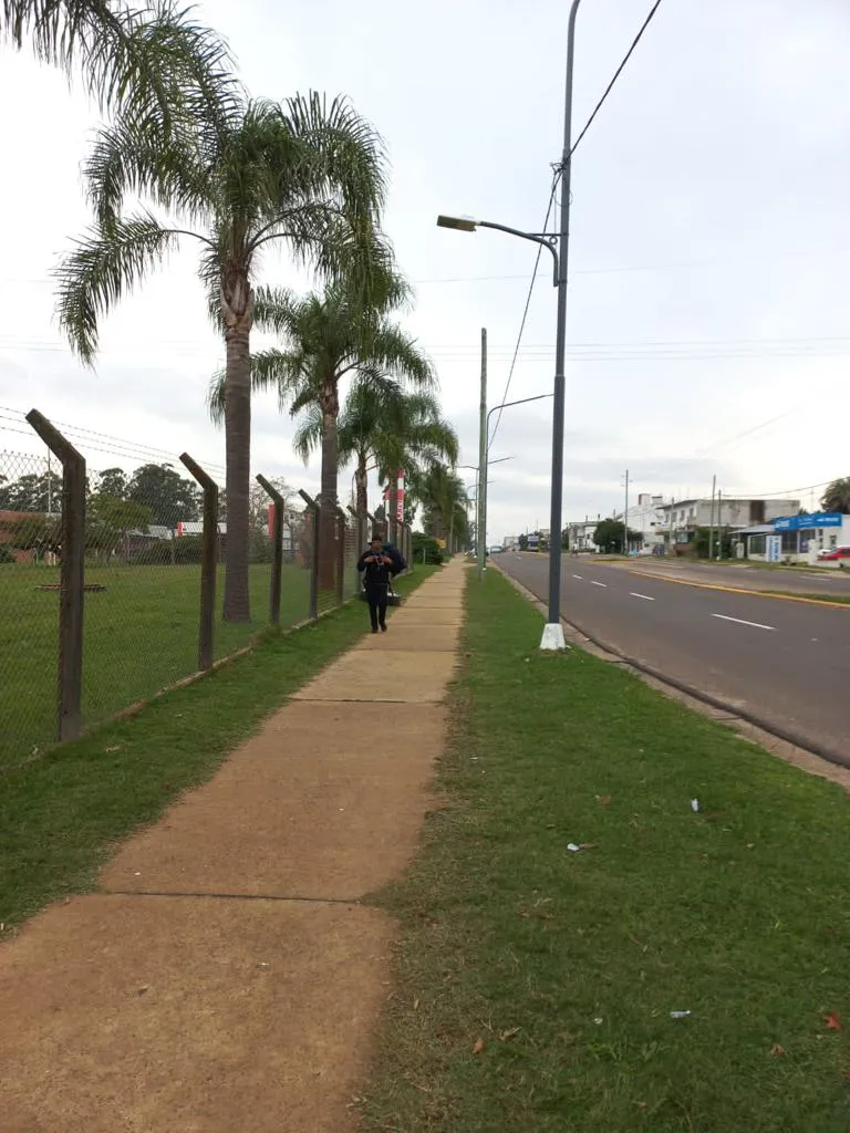 LIMPIEZA DE LA CIUDAD (2)