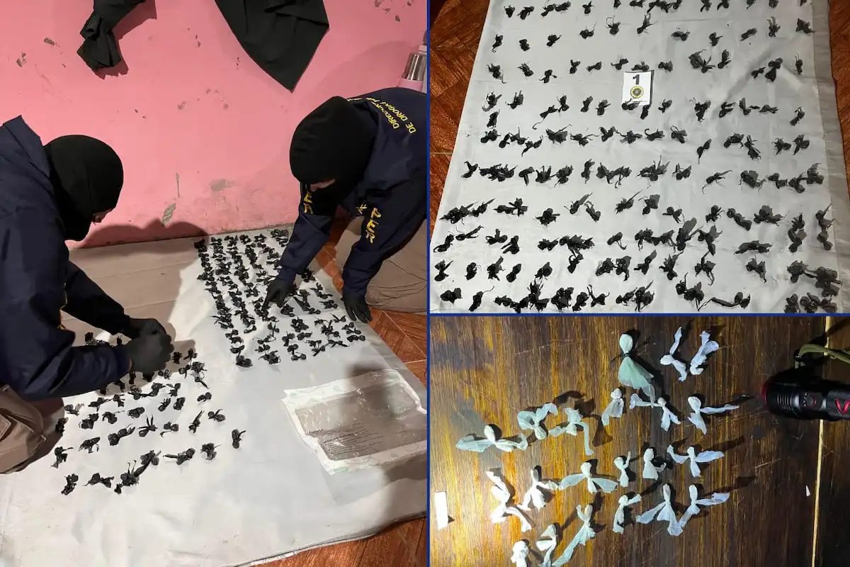 Narcomenudeo en Concordia ocho detenidos y 240 dosis secuestradas - Diario El Enfoque