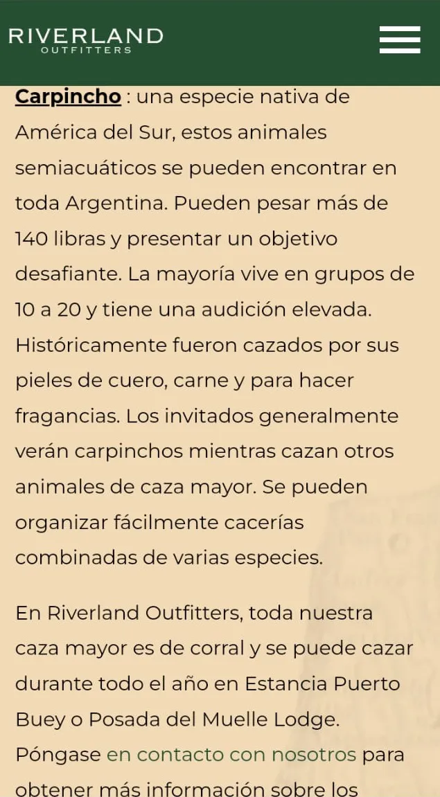 caza 8