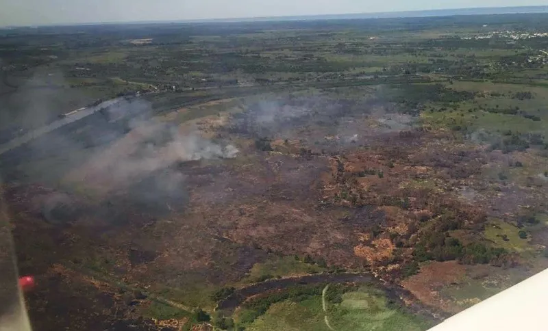 incendios forestales