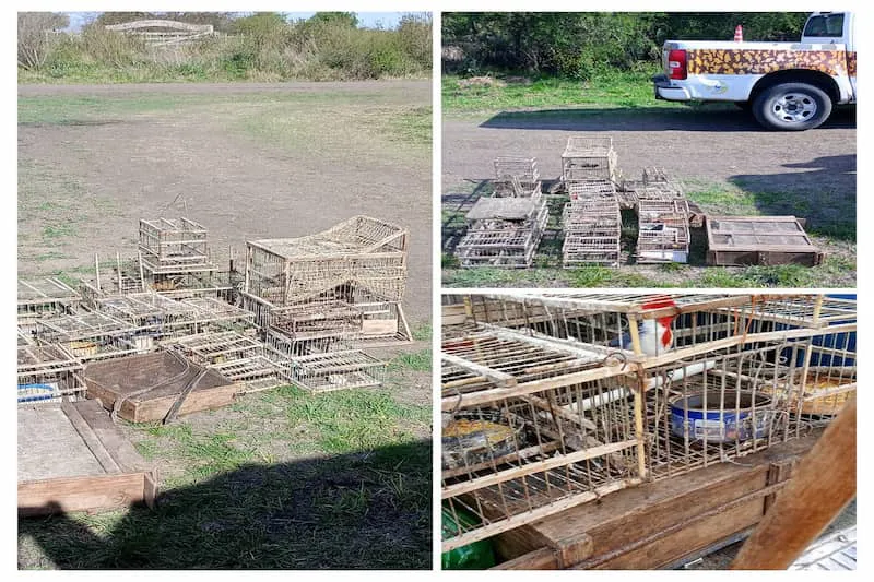 Foto fiscalización aves (1)