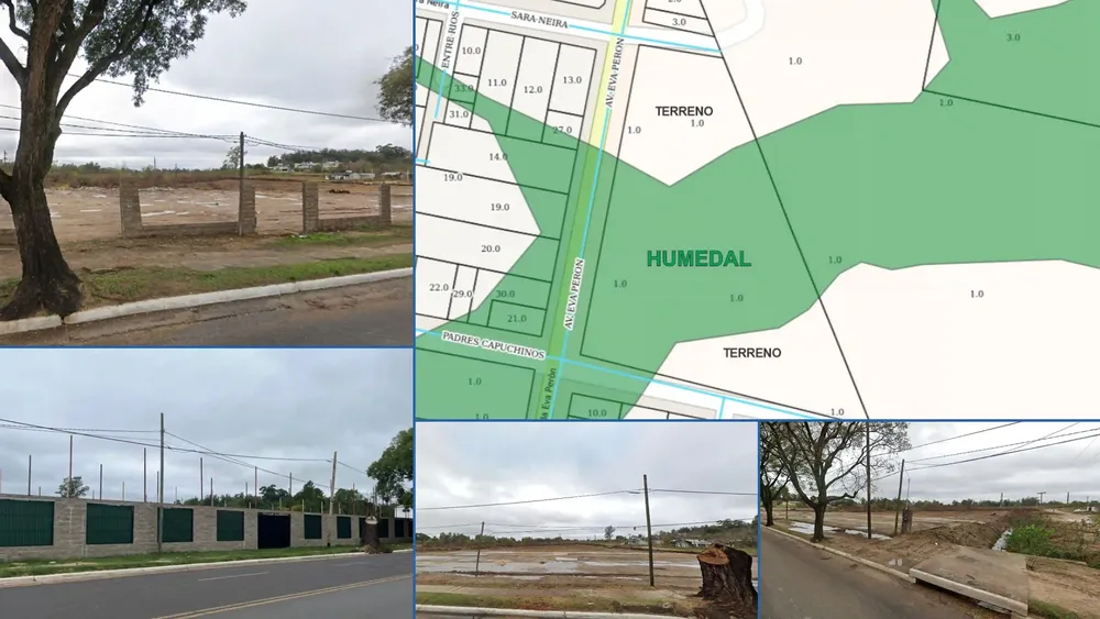 Frenan obra en humedal de La Bianca tras relleno del terreno - Diario El Enfoque Concordia