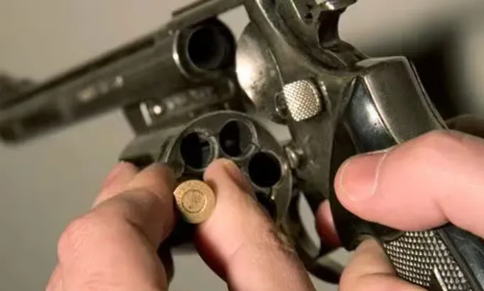 revólver, arma de fuego 2