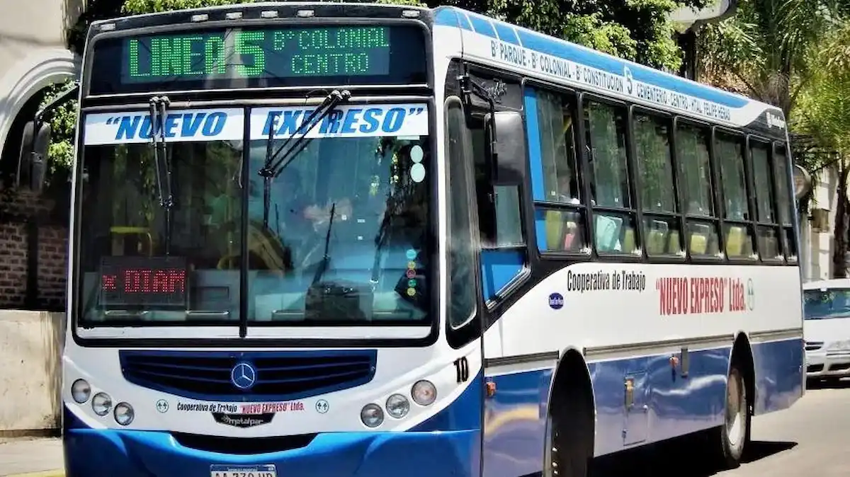 Colectivos línea 5 - diario el enfoque concordia