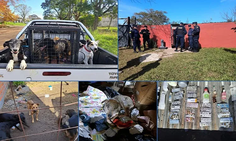 secuestro animales (1)
