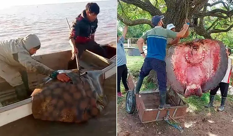 raya rio coronda (1)