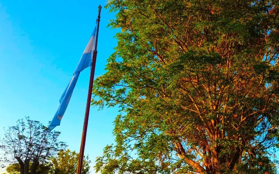 portada-bandera-esc-fumigada