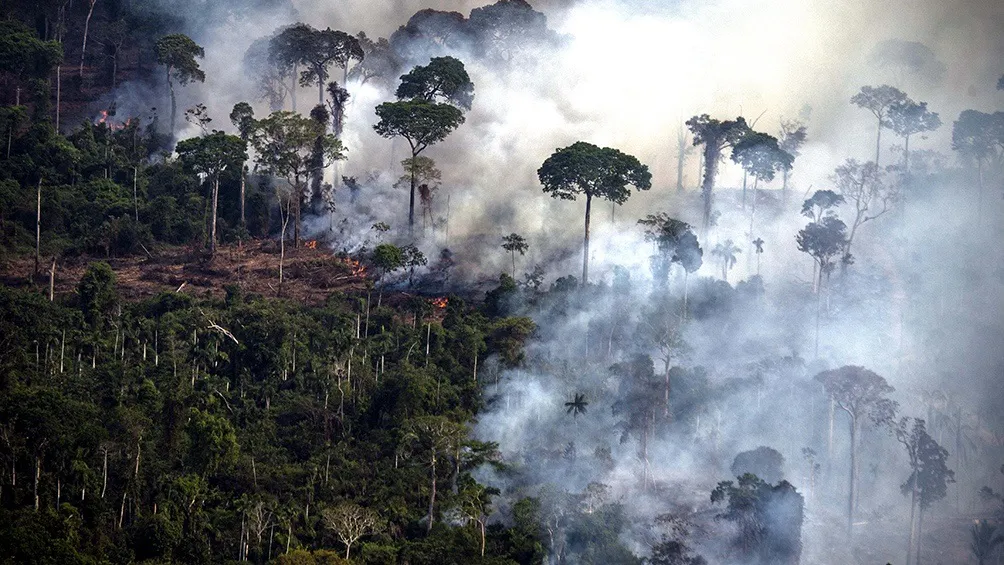 amazonas 1