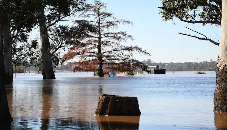 Río