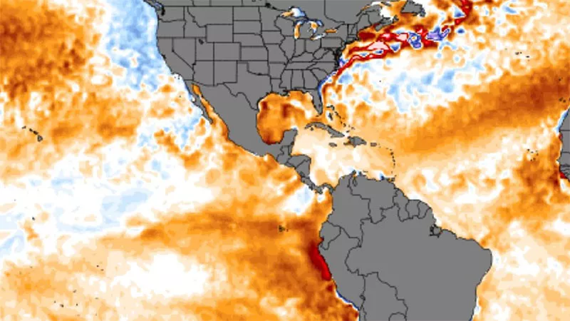 El niño
