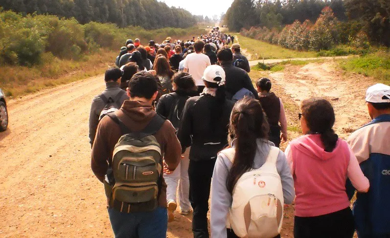 peregrinación