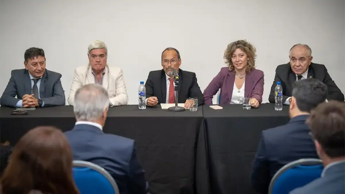 STJ de Entre Ríos anuló la destitución de Cecilia Goyeneche - Diario El Enfoque Concordia