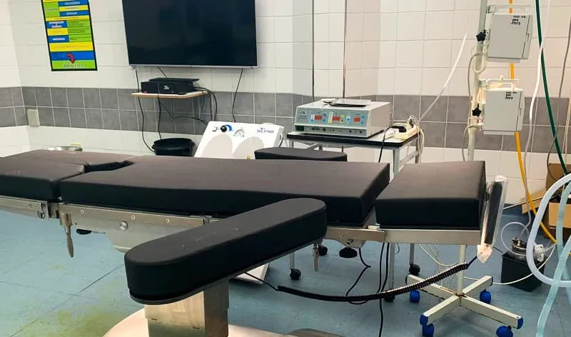 concordia masvernat (1)