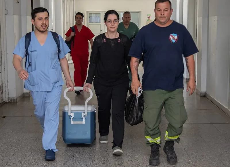 donación de órganos (1)