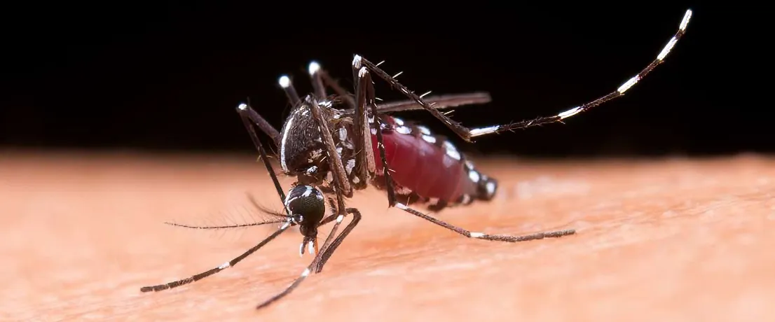 multimedia.normal.b8bfe77d74b2bdbe.ZGVzY2FyZ2Ffbm9ybWFsLndlYnA=