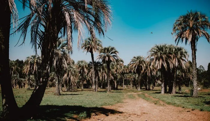 2024_08_11-turismo-hoteles_mas_verdes (3)