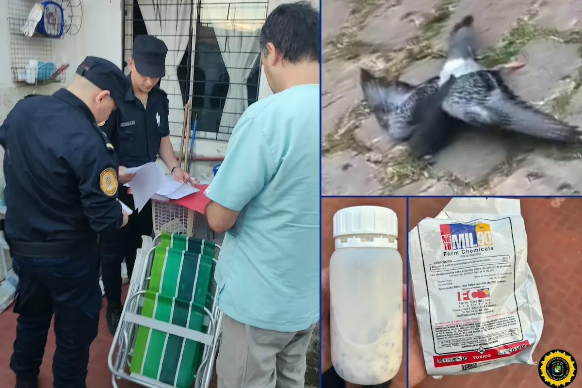 Allanamiento y secuestro de un insecticida altamente peligroso en Concordia - Diario El Enfoque