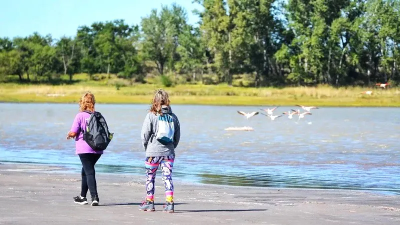 vacaciones de invierno