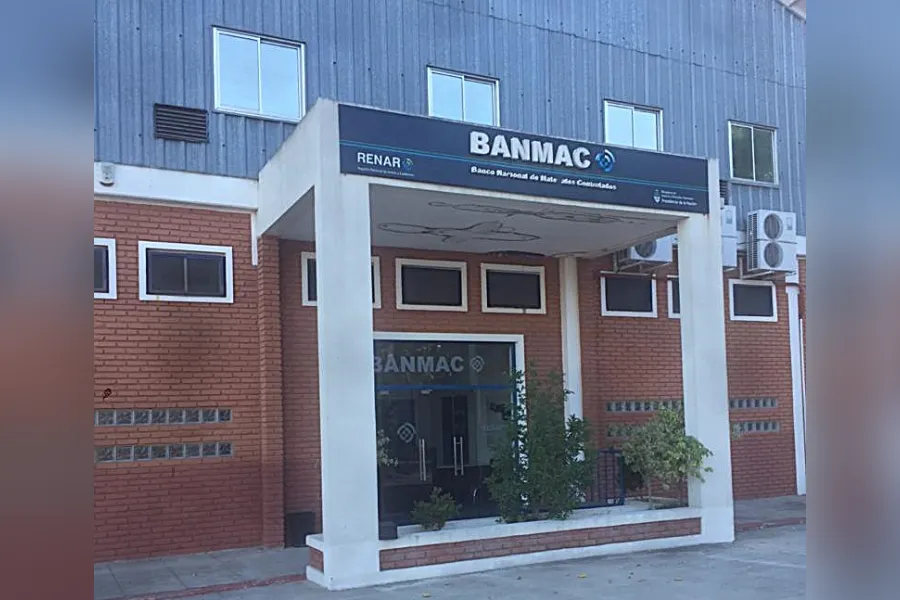 Destrucción de armas - STJ - Entre Ríos - Diario El Enfoque