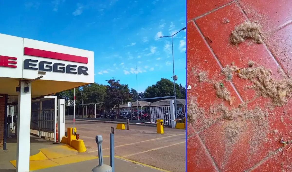 Egger contaminación - Diario El Enfoque Concordia