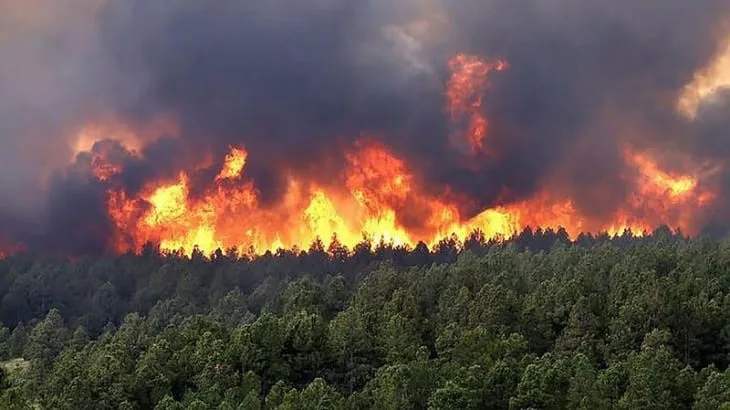incendio forestal