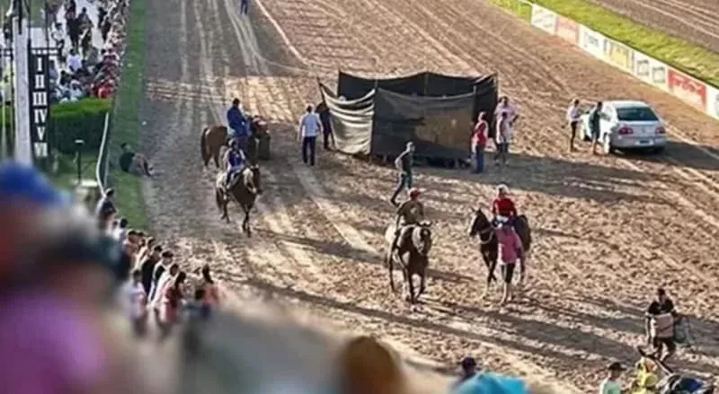 caballo rosario sacrificado (1)