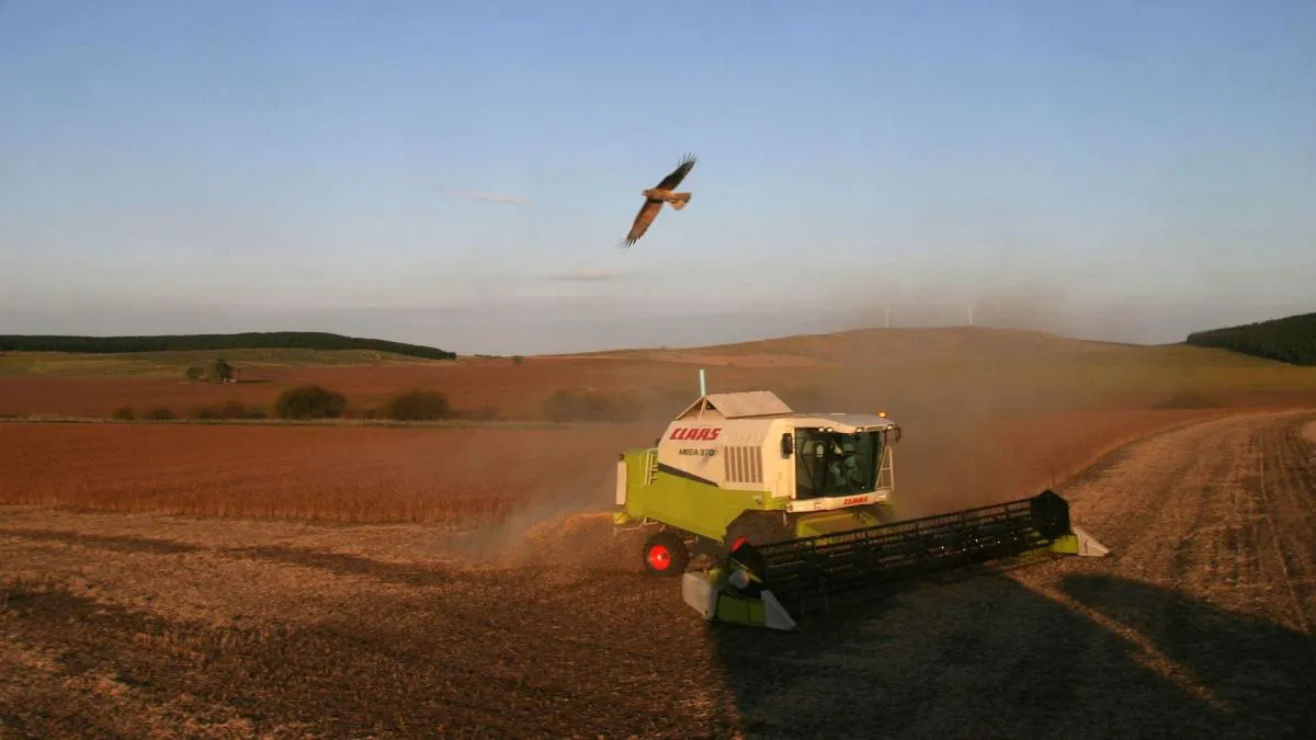 campo entre ríos