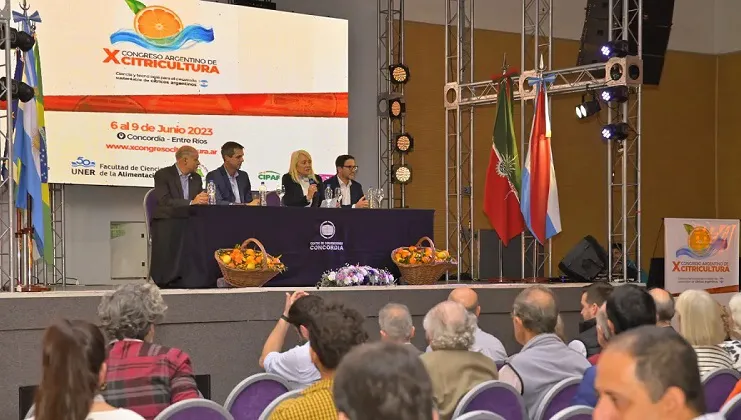 congreso