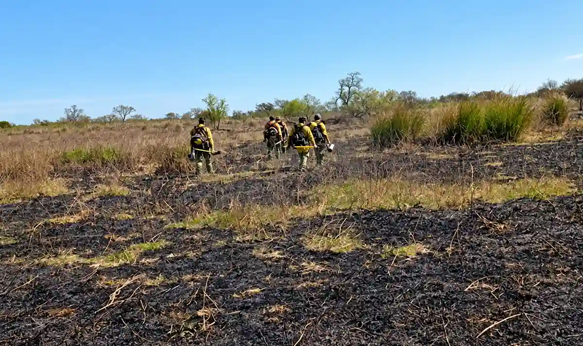 incendio forestal en victoria - diario el enfoque concordia
