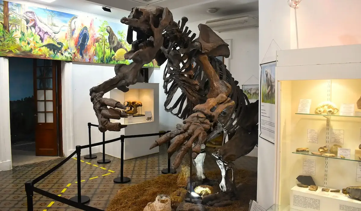 Museo de Antropología 2 - Diario El Enfoque Concordia (1)