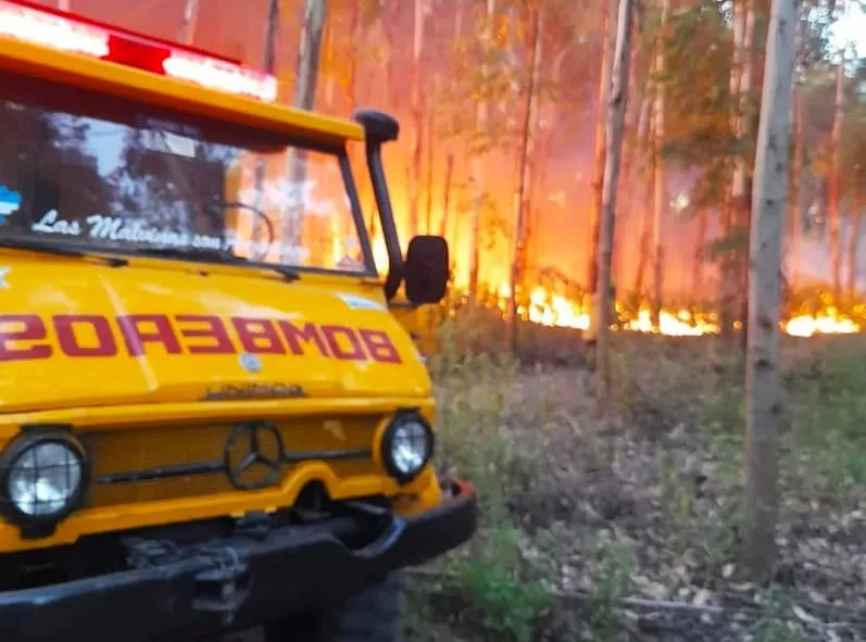incendio 1 (1)