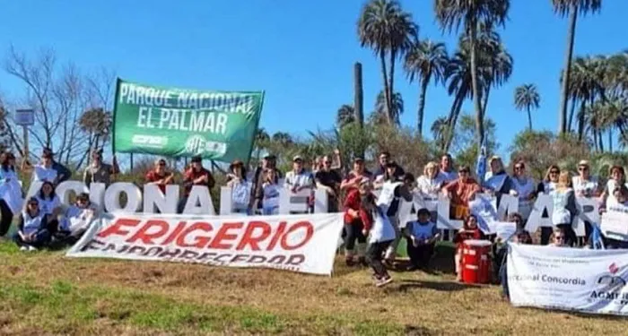 el palmar 1