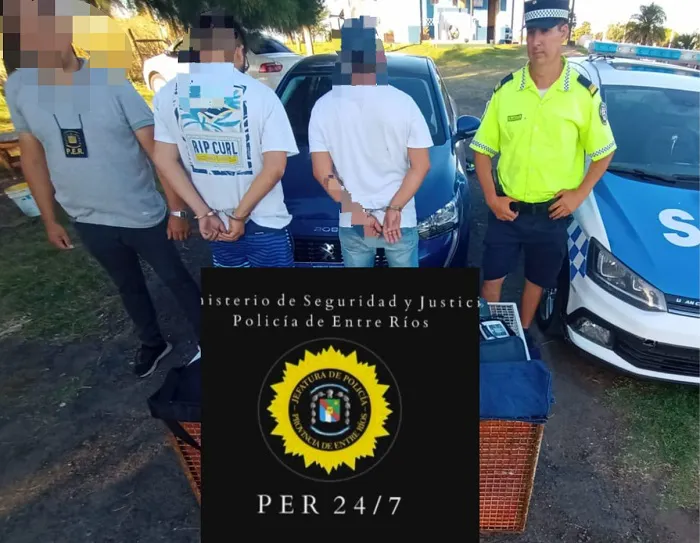 estaf