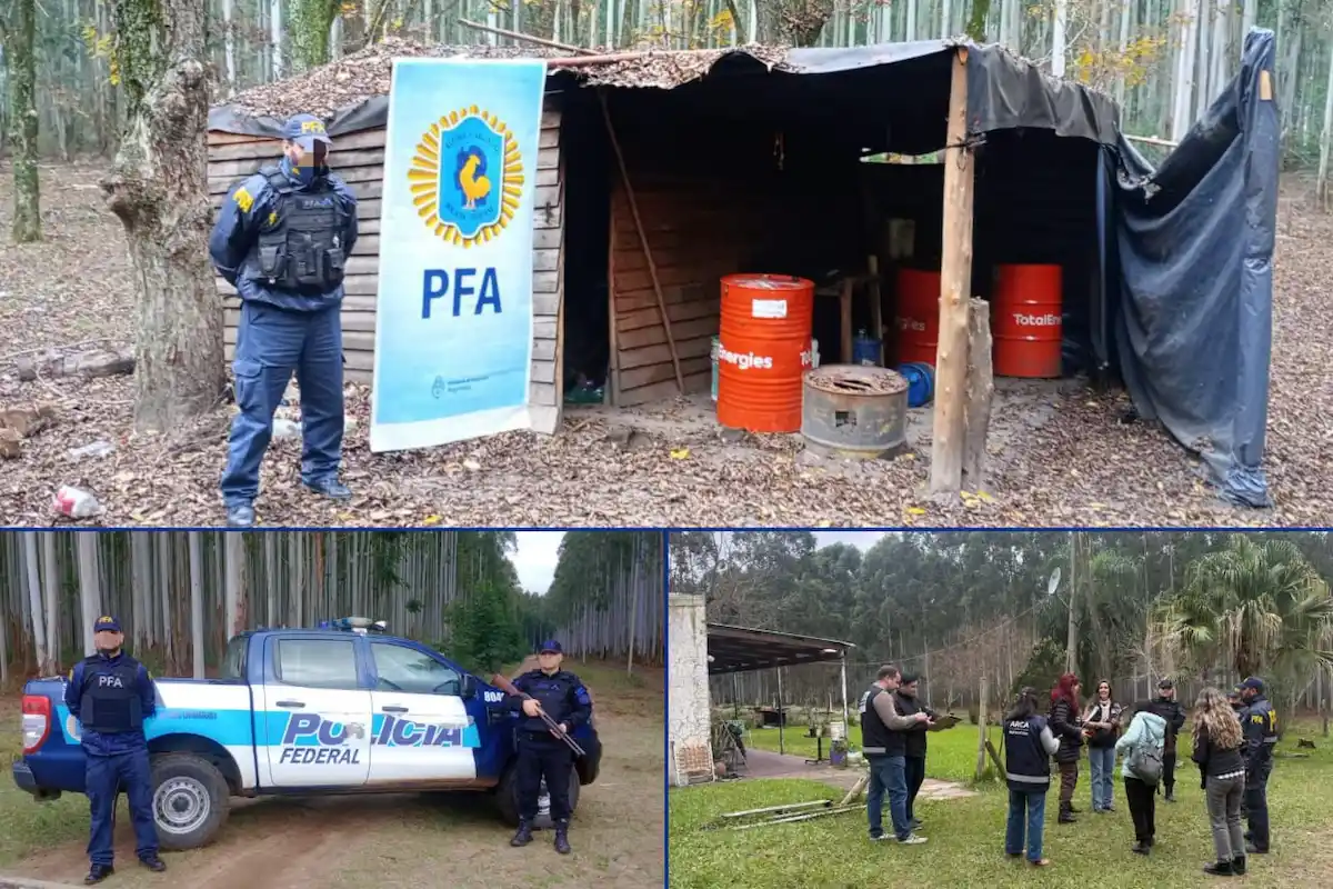 Investigan presunta trata laboral en un campo de Concordia - Diario El Enfoque