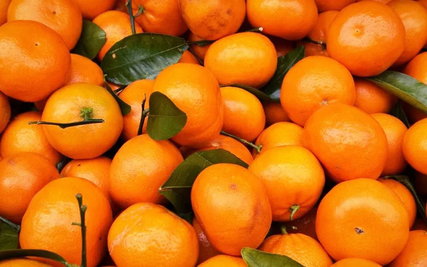 mandarinas